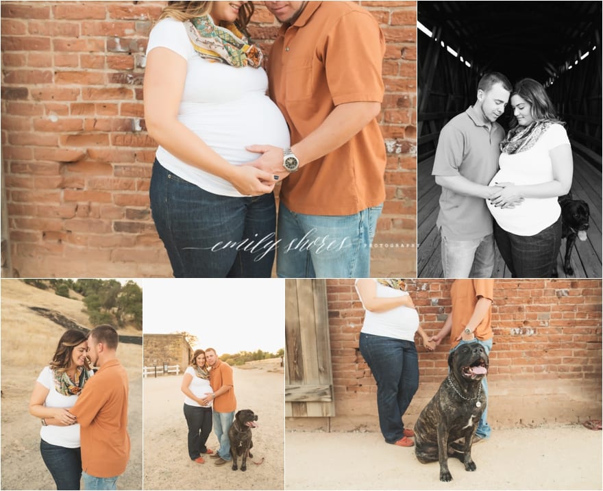 maternity session with dog